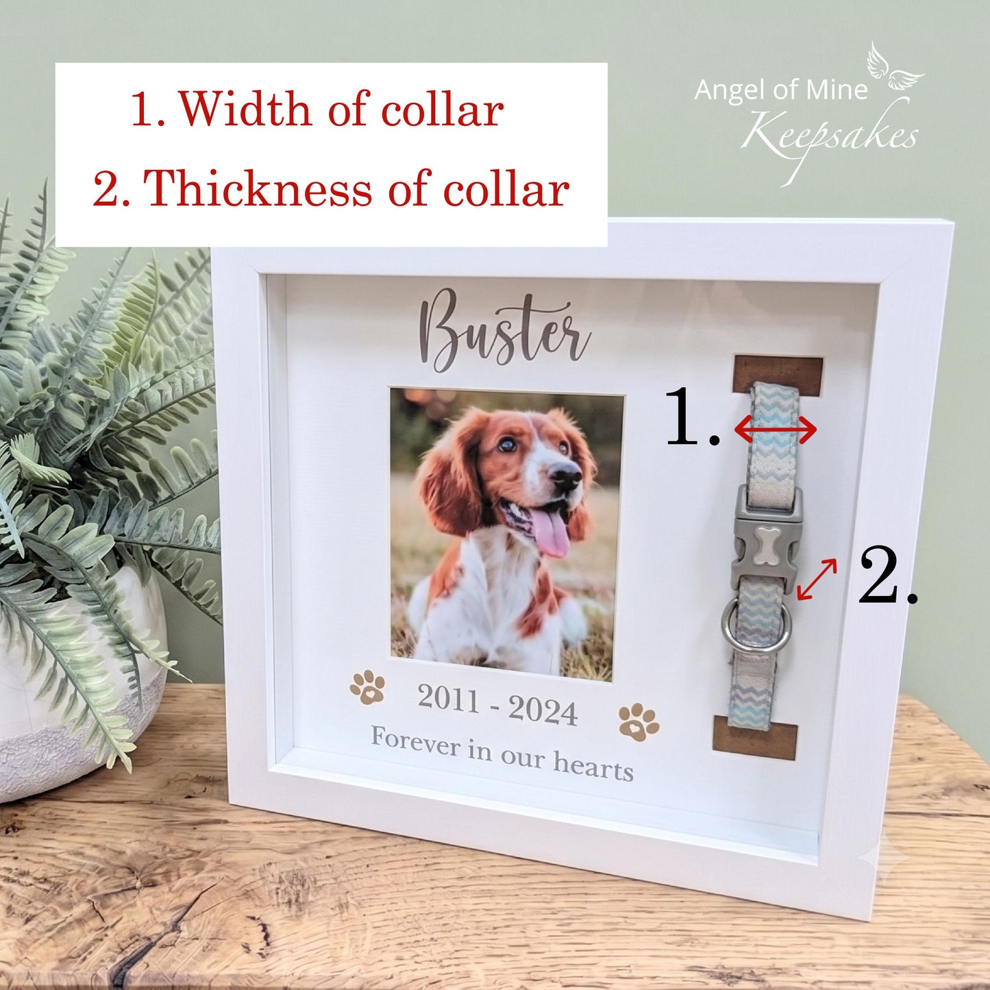 Dog Collar Memorial Frame | Pet Loss | Pet Memorial Gift
