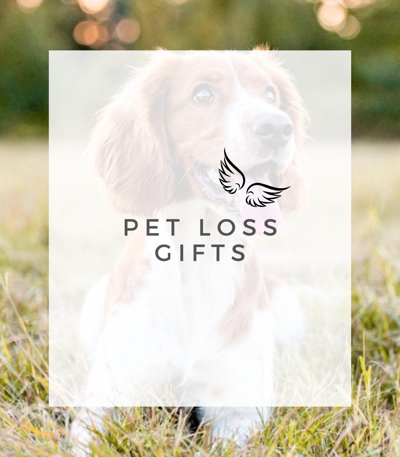 Types of Loss – Angel of Mine Keepsakes