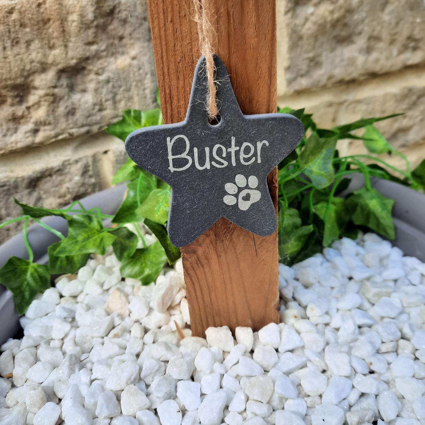 Pet Memorial STAR / Pet loss / Memorial Plaque / Loss of Dog / Tree Decoration / Pet Bereavement Gift