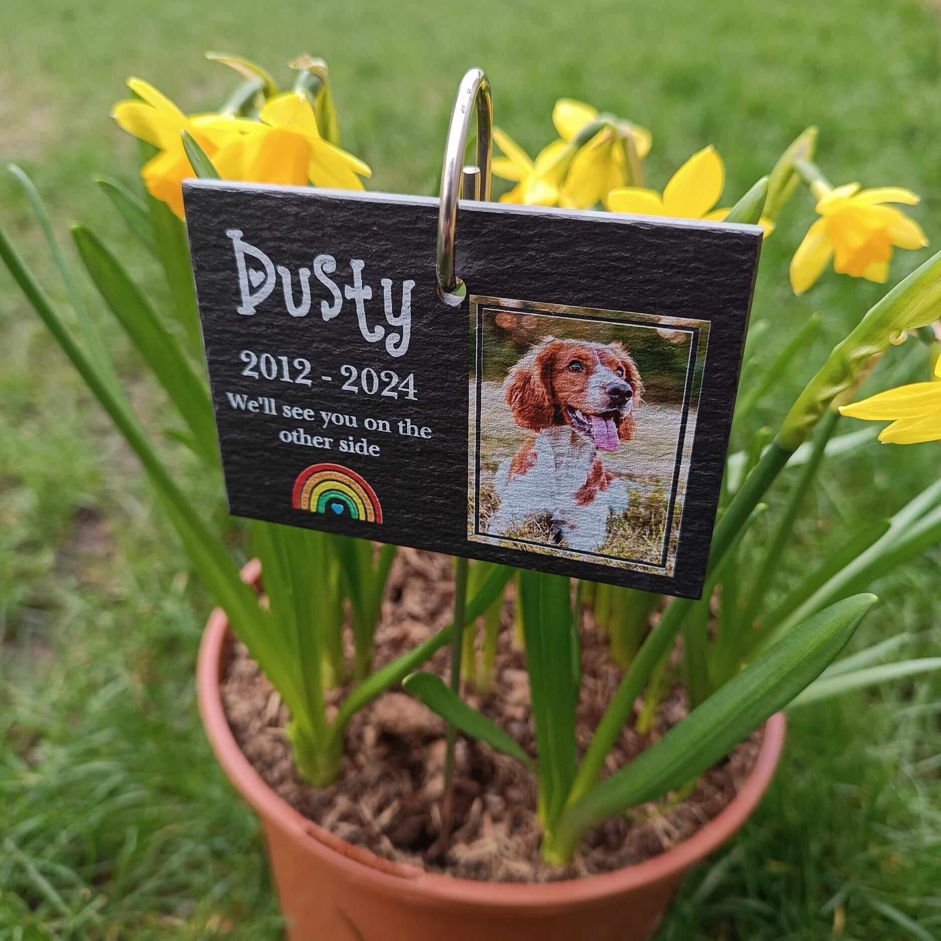 Pet Memorial PHOTO Garden Slate and Hook / Pet loss / Memorial Plaque / Loss of Dog / Pet Bereavement Gift