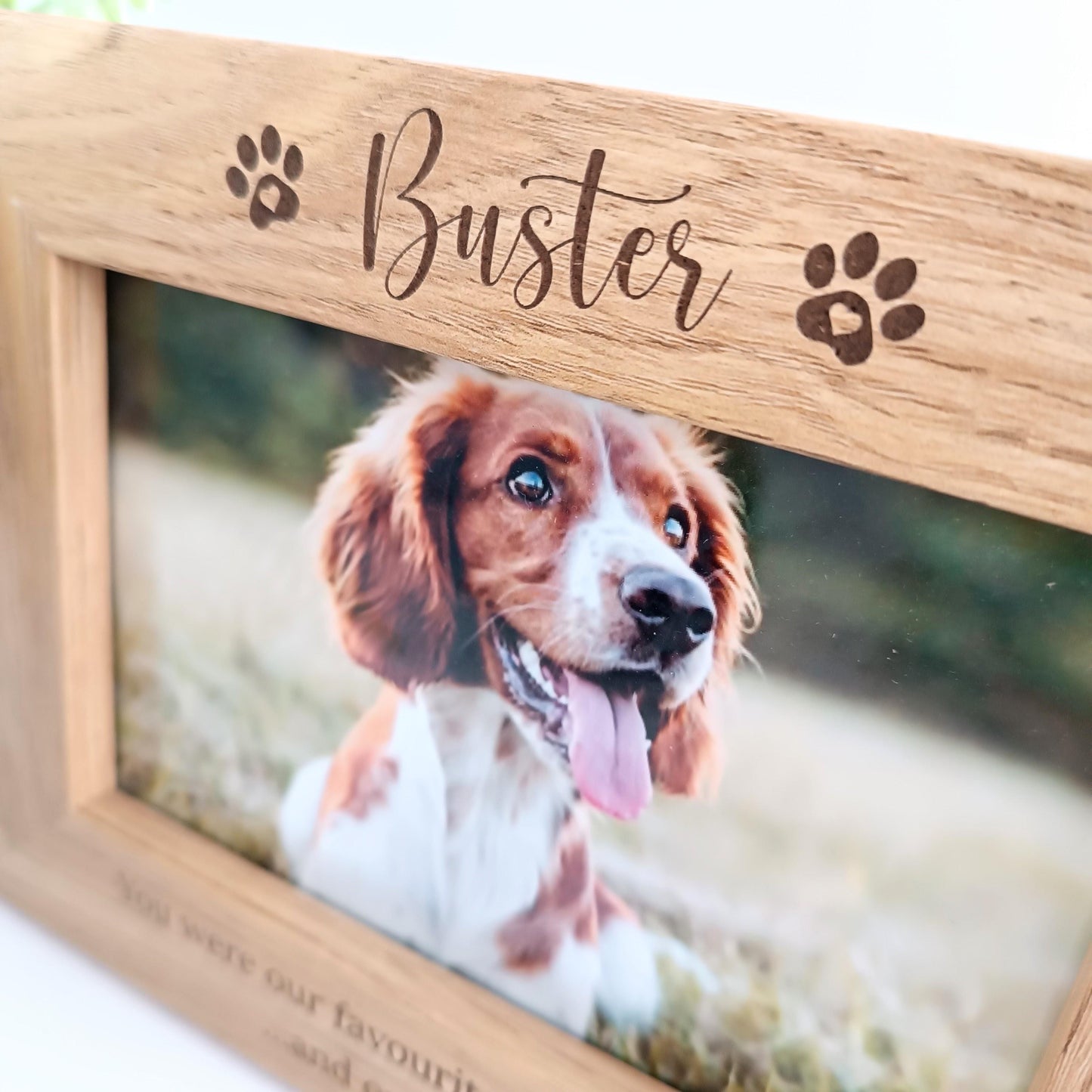 Personalised Pet Photo Frame | Pet Memorial | Pet Bereavement Frame | Loss of Dog | Wooden Frame
