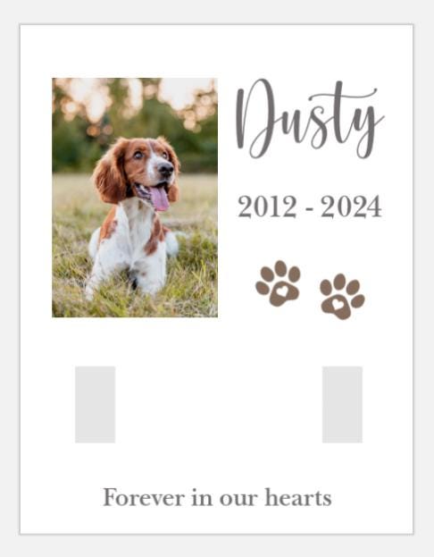 Pet Collar Frame | Pet Memorial Box Frame | Pet Loss | Pet Memorial Gift