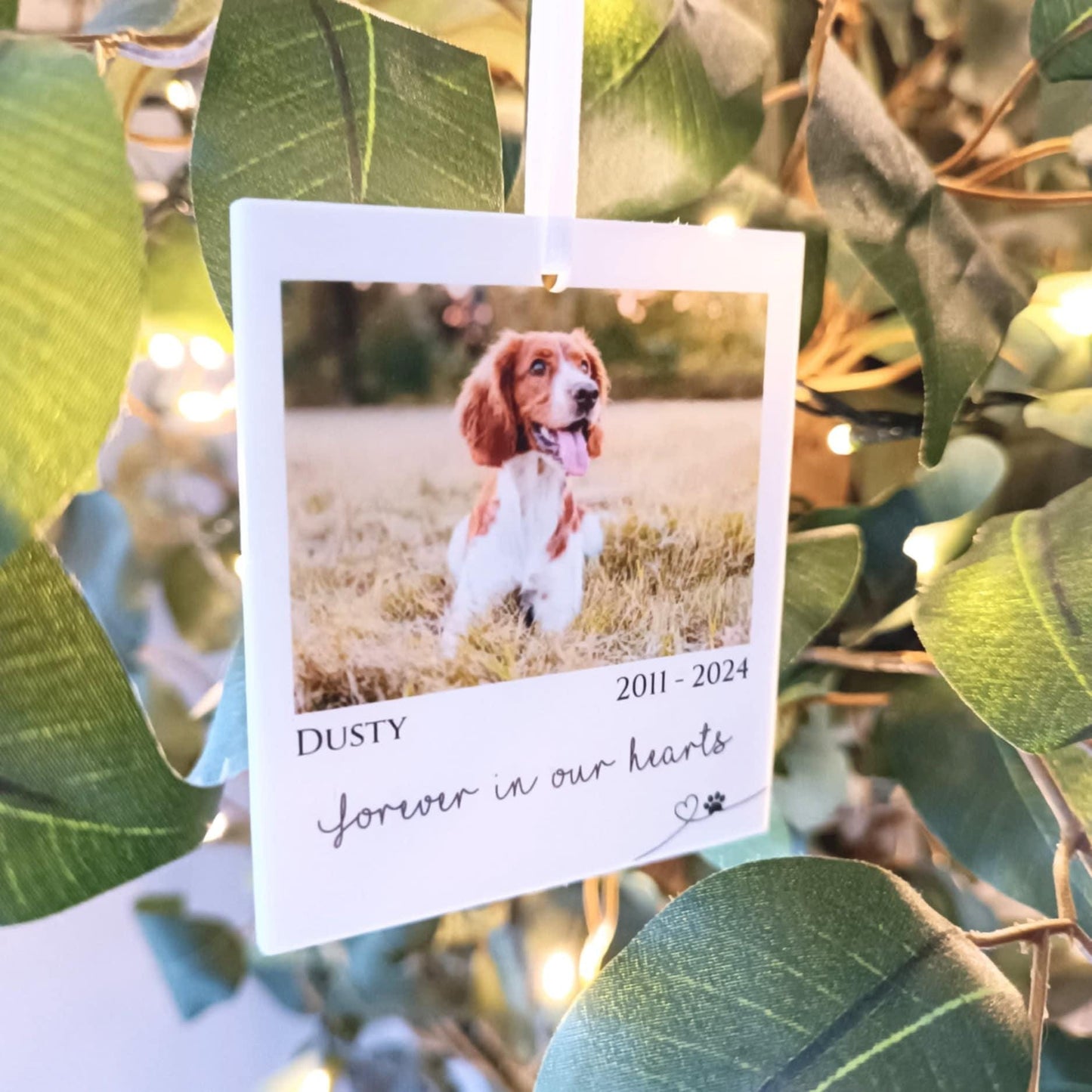 Polaroid Gift | Photo Car Ornament Gift | Christmas Tree Photo | Personalised Pet Polaroid