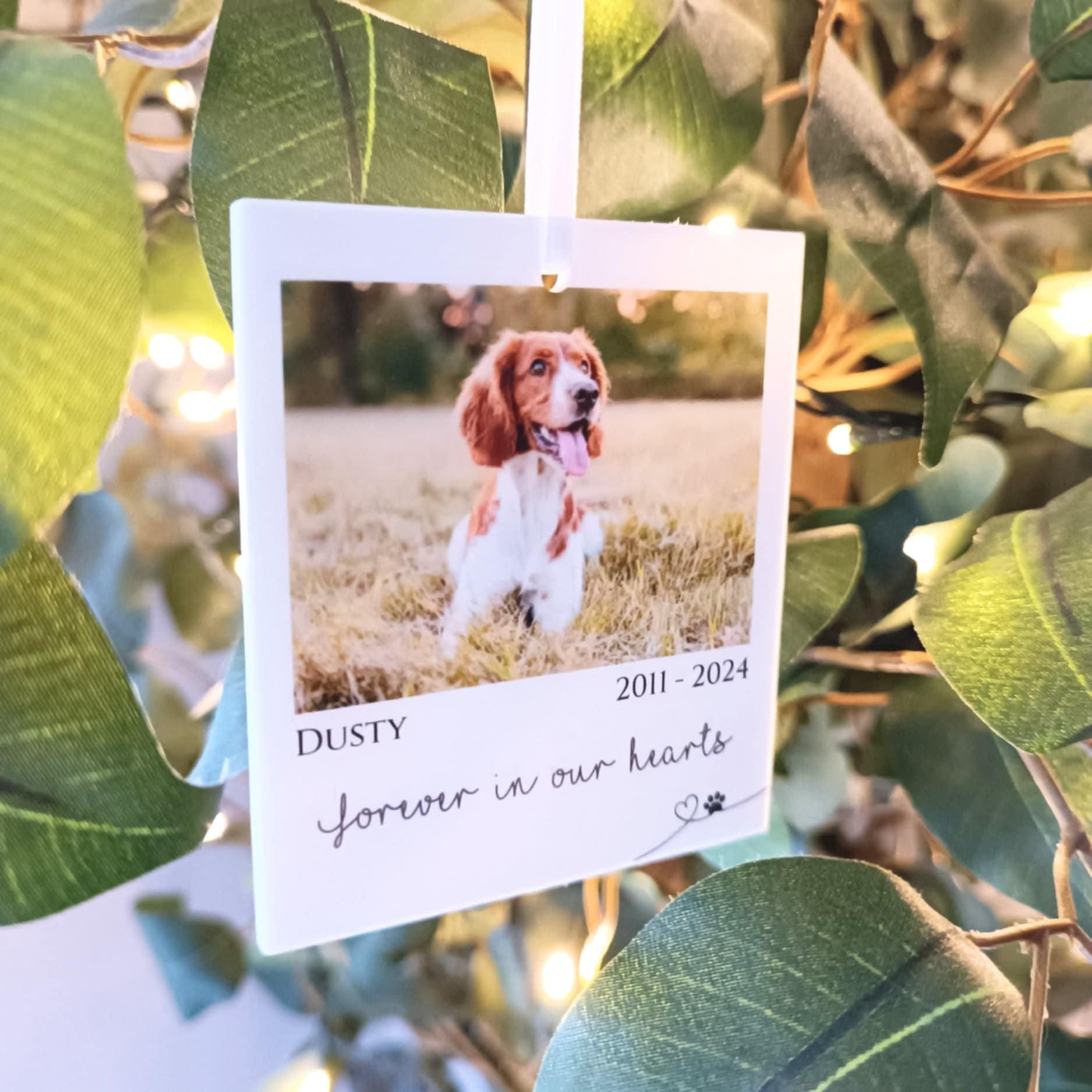 Polaroid Gift | Photo Car Ornament Gift | Christmas Tree Photo | Personalised Pet Polaroid