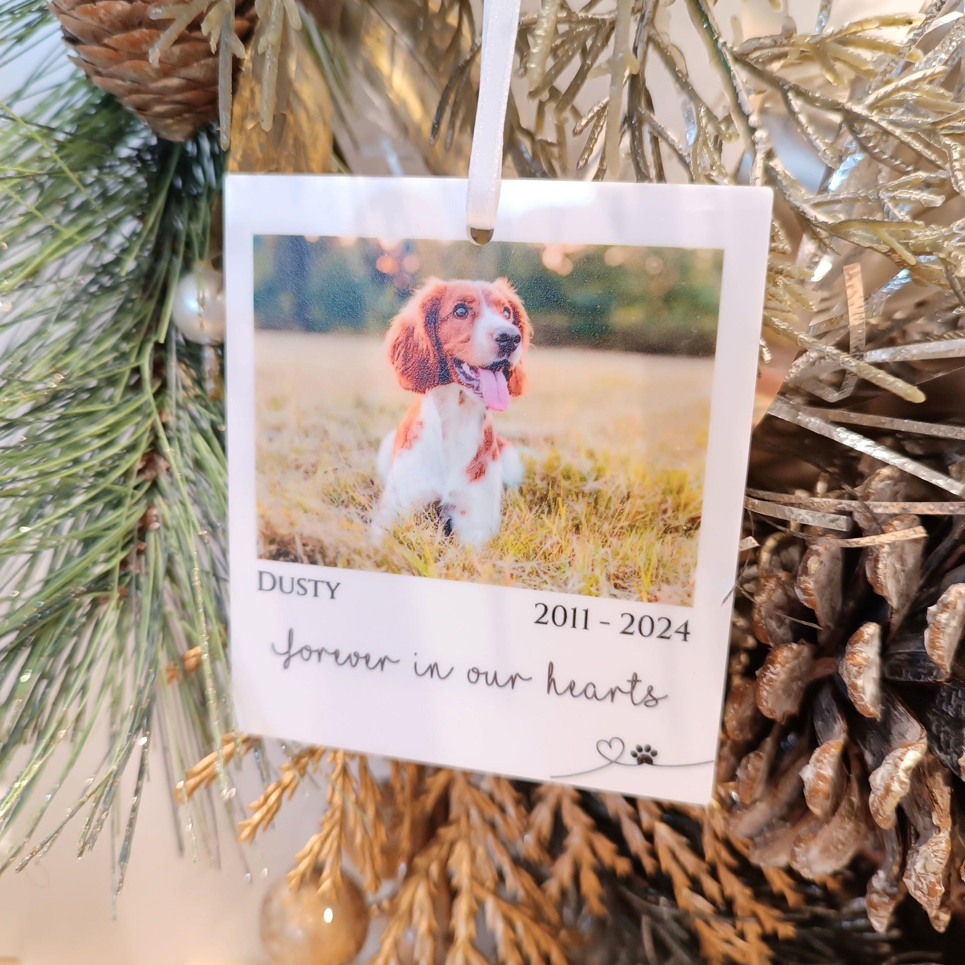 Polaroid Gift | Photo Car Ornament Gift | Christmas Tree Photo | Personalised Pet Polaroid