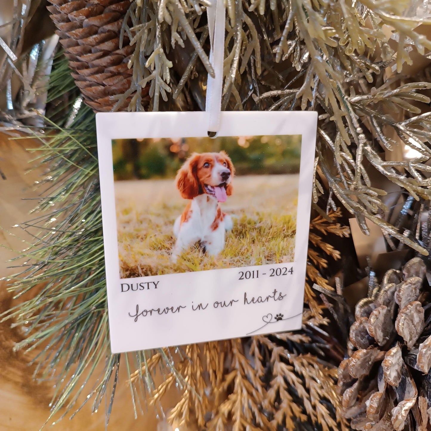 Polaroid Gift | Photo Car Ornament Gift | Christmas Tree Photo | Personalised Pet Polaroid