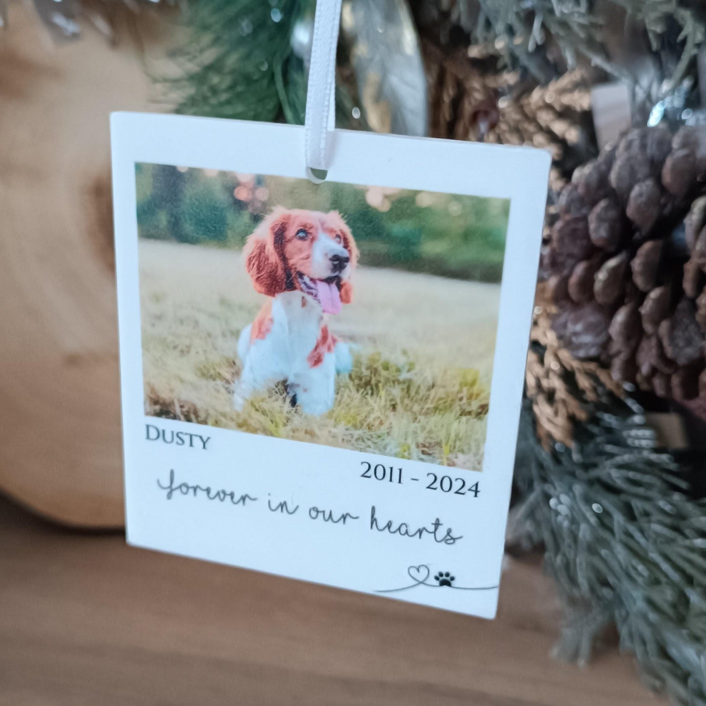 Polaroid Gift | Photo Car Ornament Gift | Christmas Tree Photo | Personalised Pet Polaroid