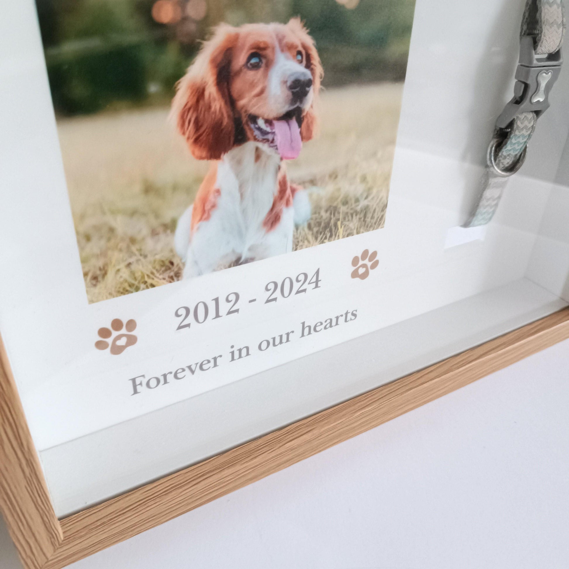 Pet Collar Frame | Pet Memorial Box Frame | Pet Loss | Pet Memorial Gift
