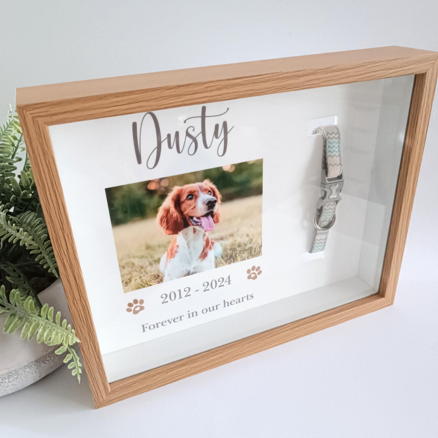 Pet Collar Frame | Pet Memorial Box Frame | Pet Loss | Pet Memorial Gift