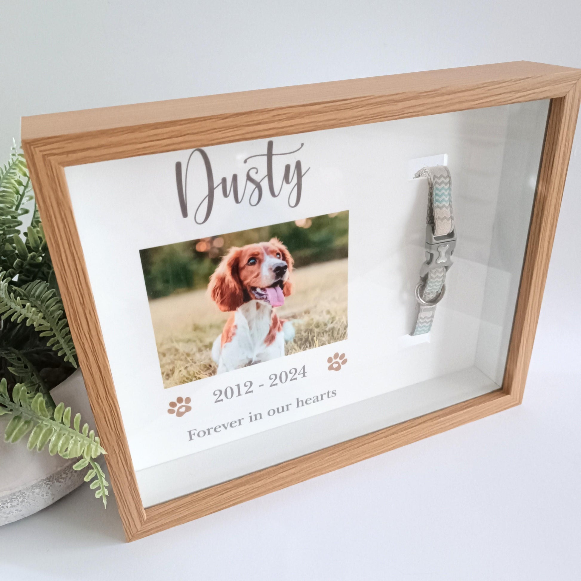 Pet Collar Frame | Pet Memorial Box Frame | Pet Loss | Pet Memorial Gift