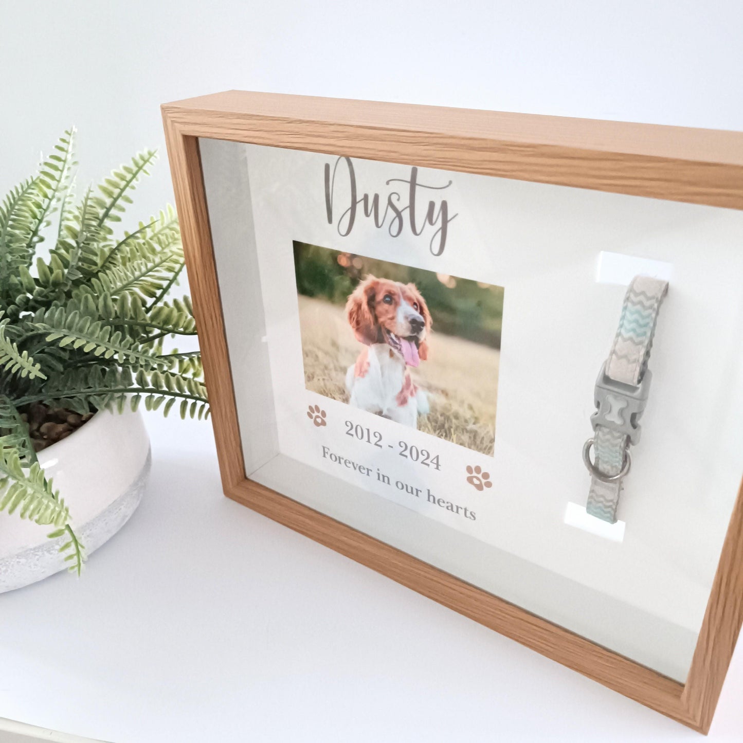 Pet Collar Frame | Pet Memorial Box Frame | Pet Loss | Pet Memorial Gift