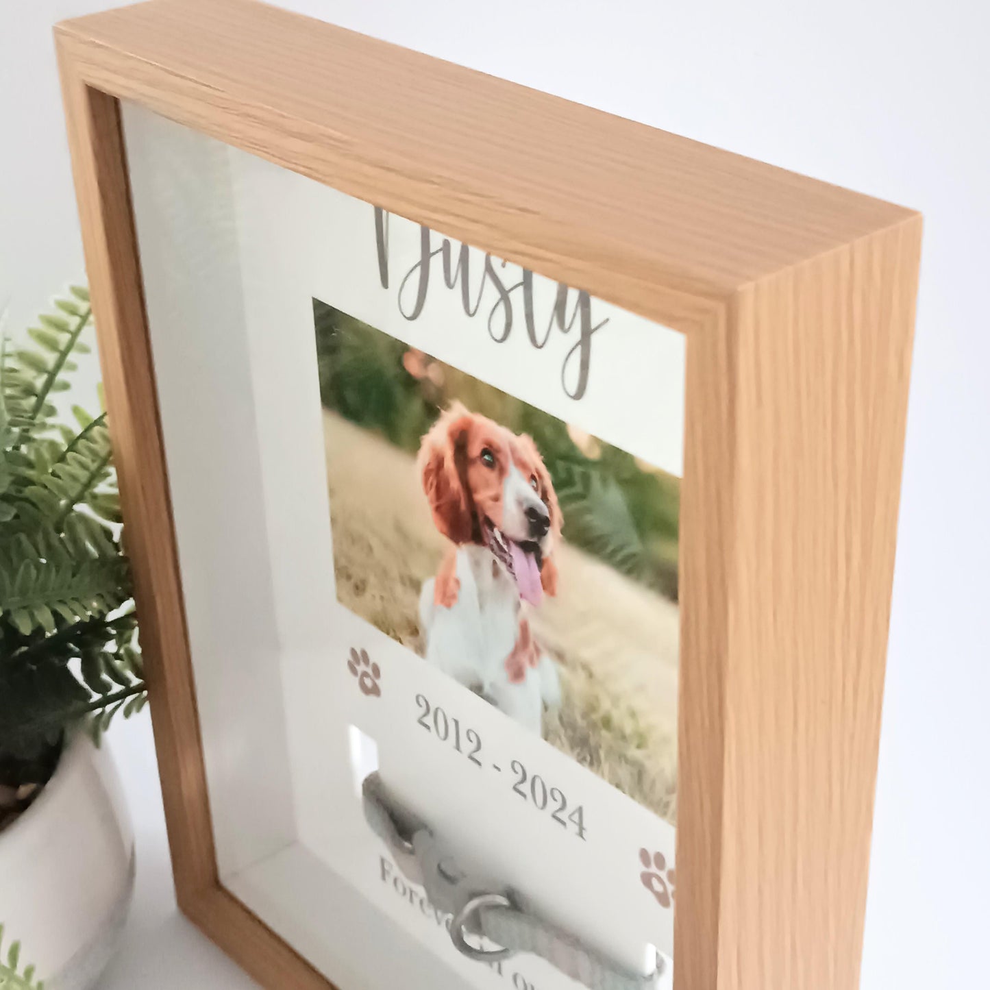 Pet Collar Frame | Pet Memorial Box Frame | Pet Loss | Pet Memorial Gift