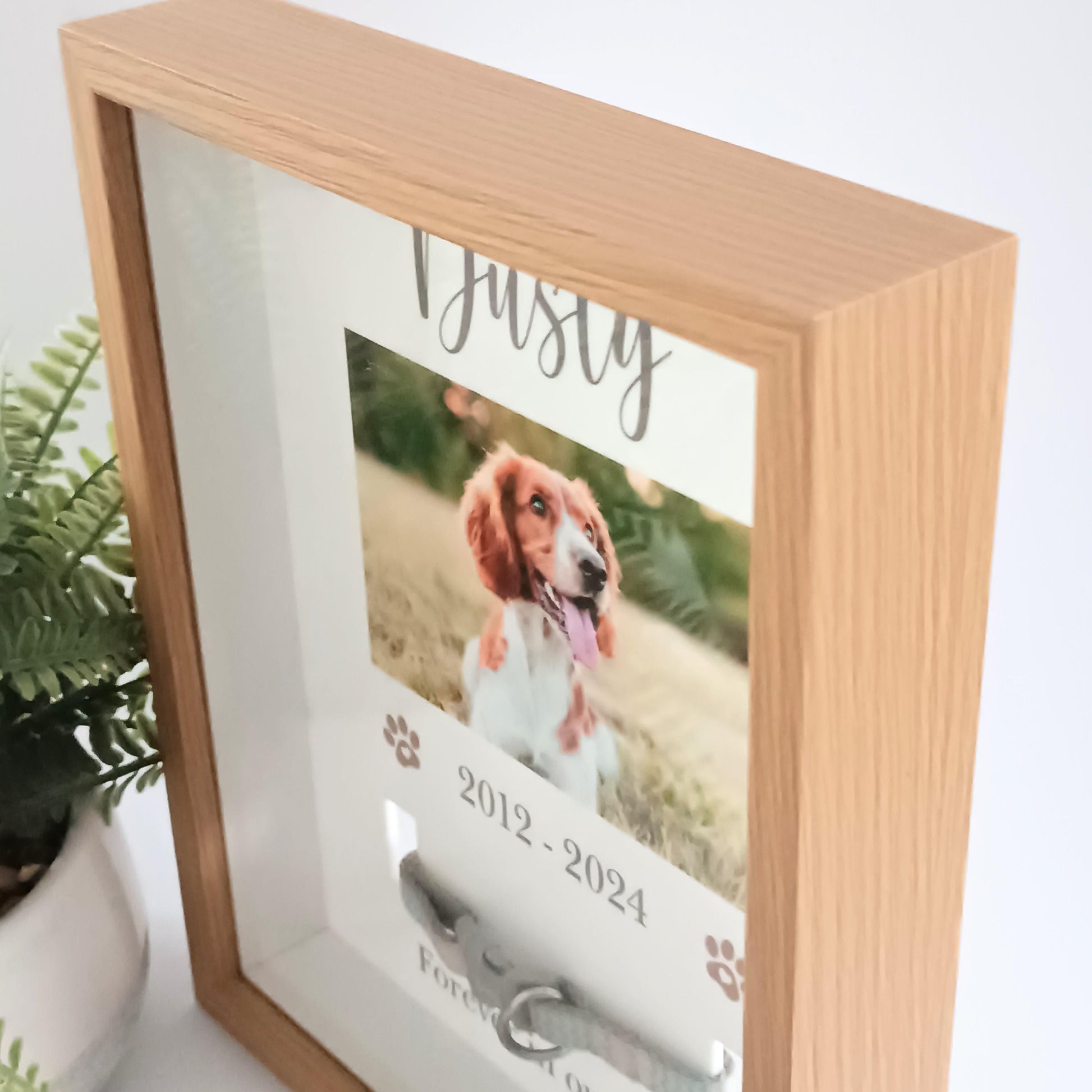 Pet Collar Frame | Pet Memorial Box Frame | Pet Loss | Pet Memorial Gift