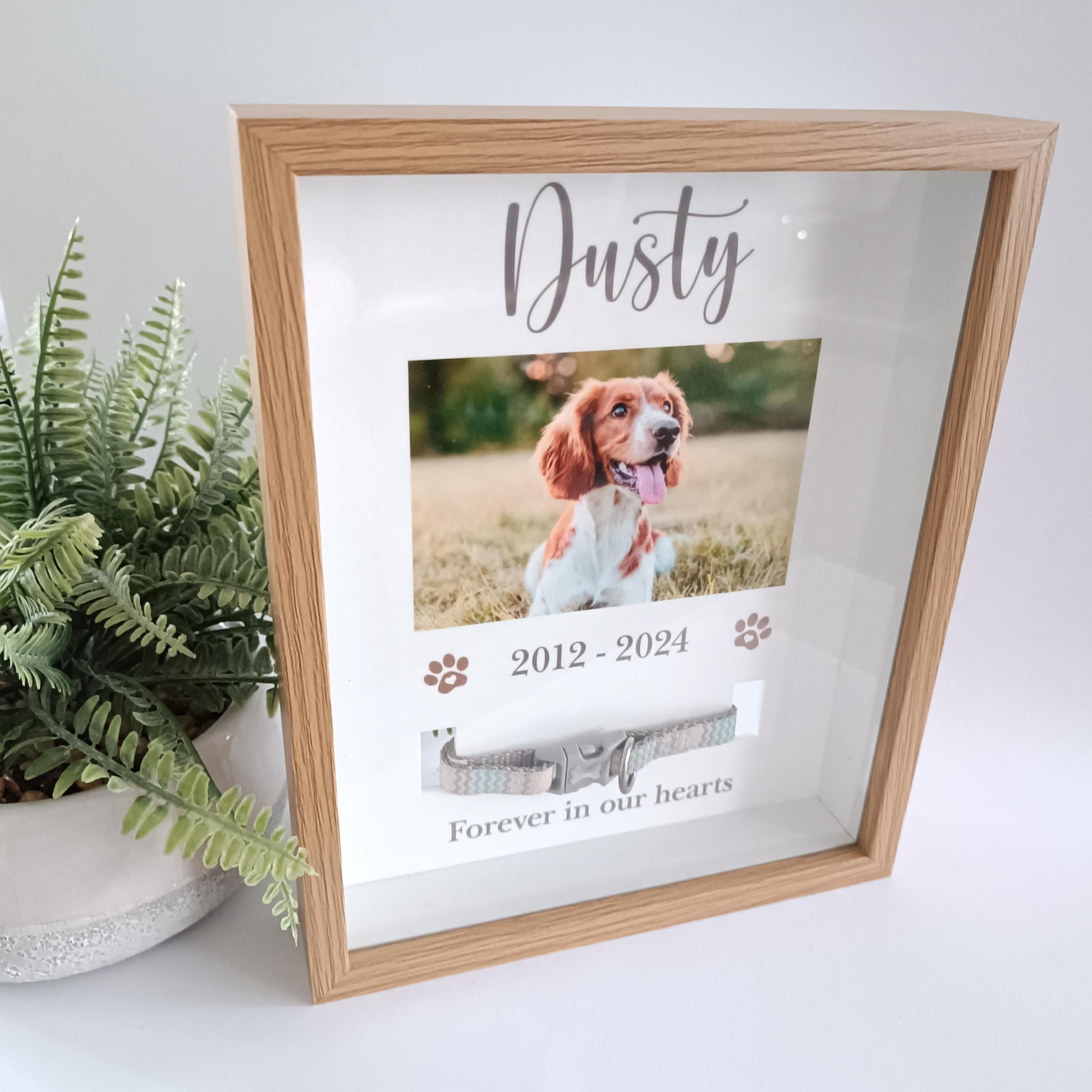 Pet Collar Frame | Pet Memorial Box Frame | Pet Loss | Pet Memorial Gift