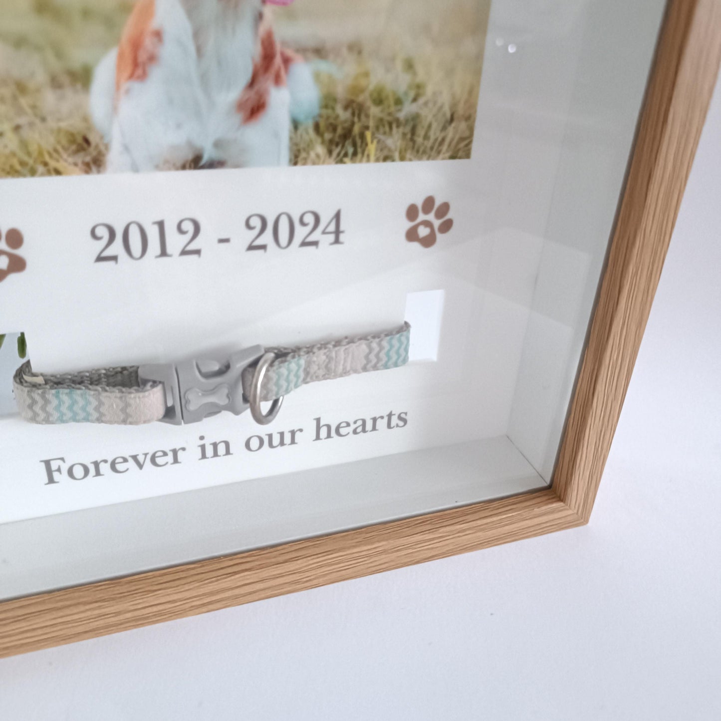 Pet Collar Frame | Pet Memorial Box Frame | Pet Loss | Pet Memorial Gift