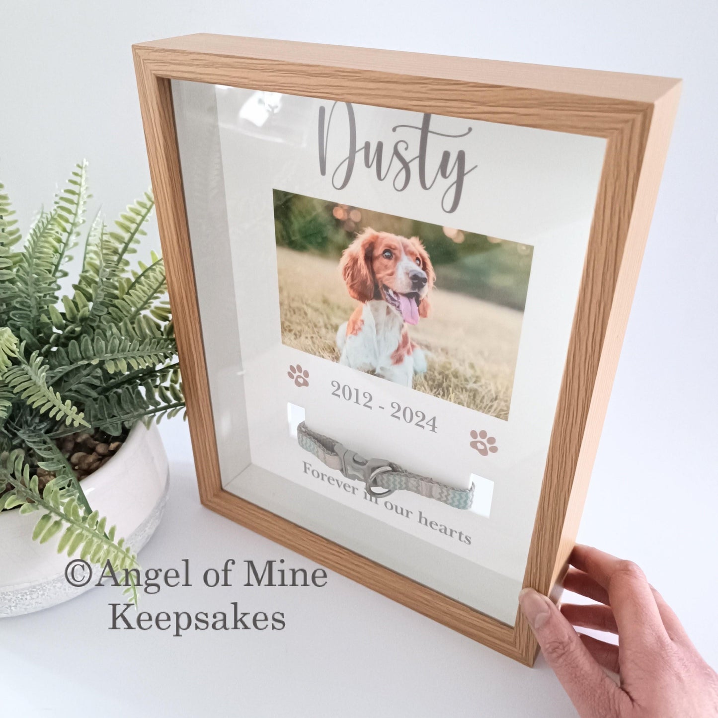 Pet Collar Frame | Pet Memorial Box Frame | Pet Loss | Pet Memorial Gift
