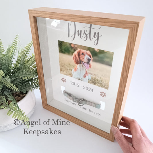 Pet Collar Frame | Pet Memorial Box Frame | Pet Loss | Pet Memorial Gift