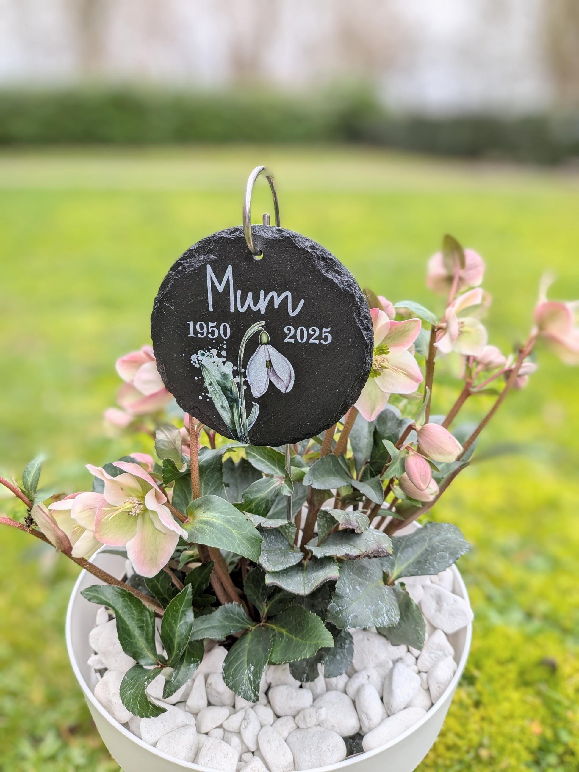 Brave Little Lion Memorial Slate Plaque | Garden Remembrance | Baby Loss