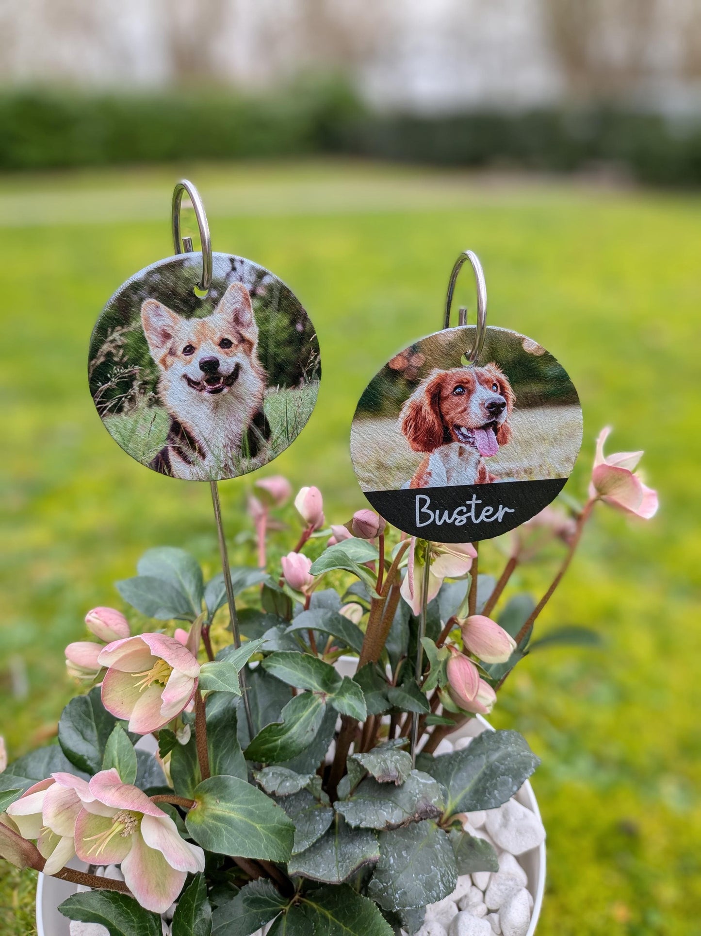 Dog Memorial Slate Plaque | Garden Remembrance | Pet Loss