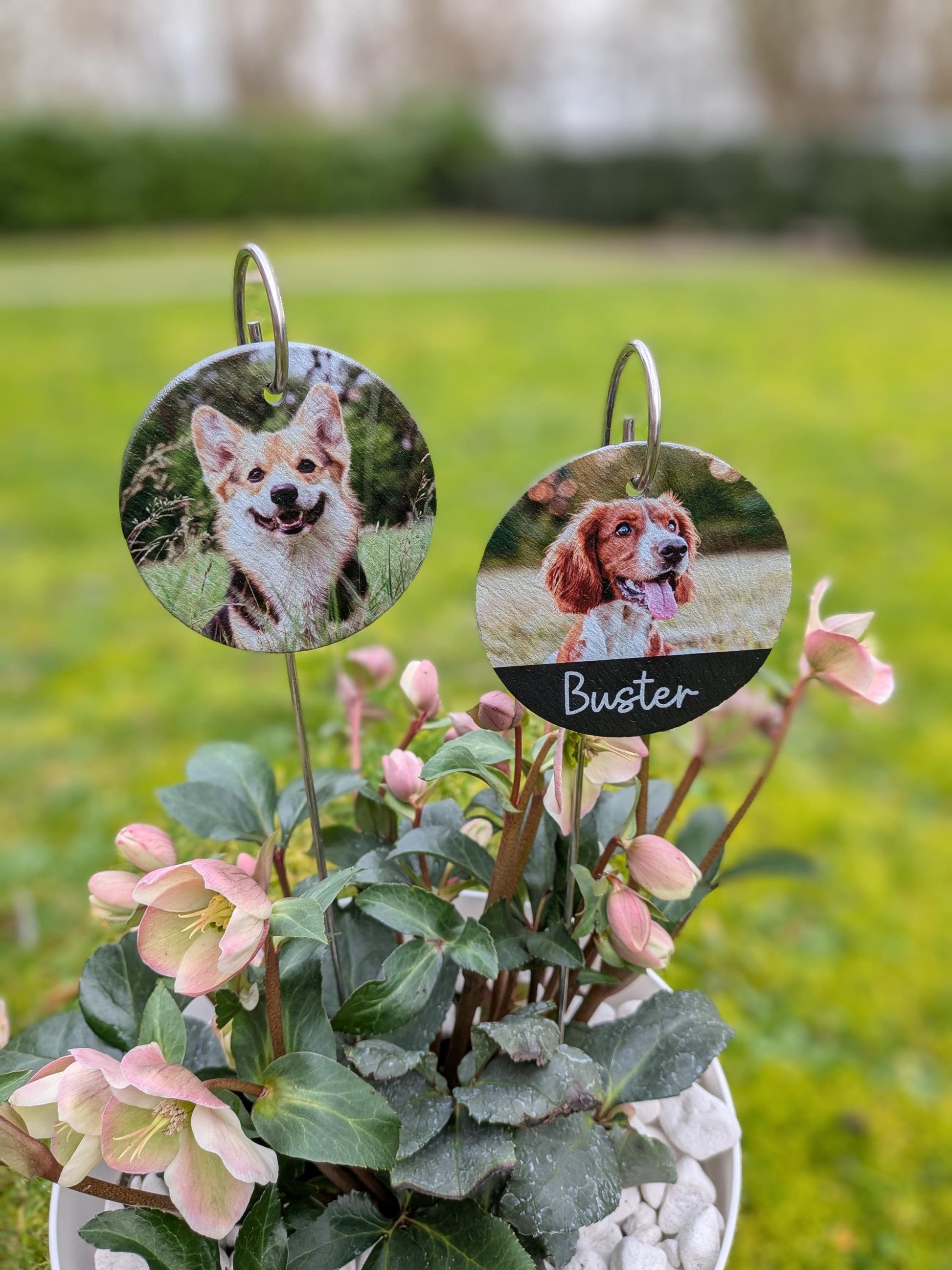 Dog Memorial Slate Plaque | Garden Remembrance | Pet Loss