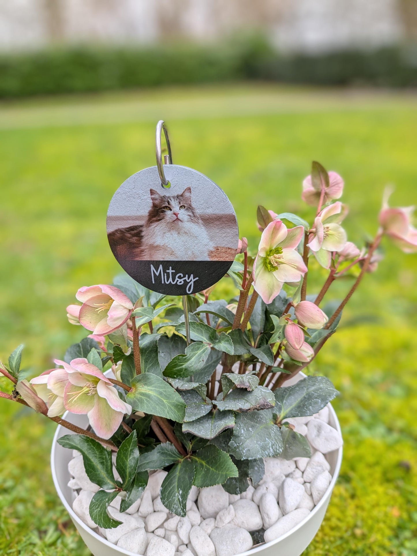 Cat Memorial Slate Plaque | Garden Remembrance | Pet Loss