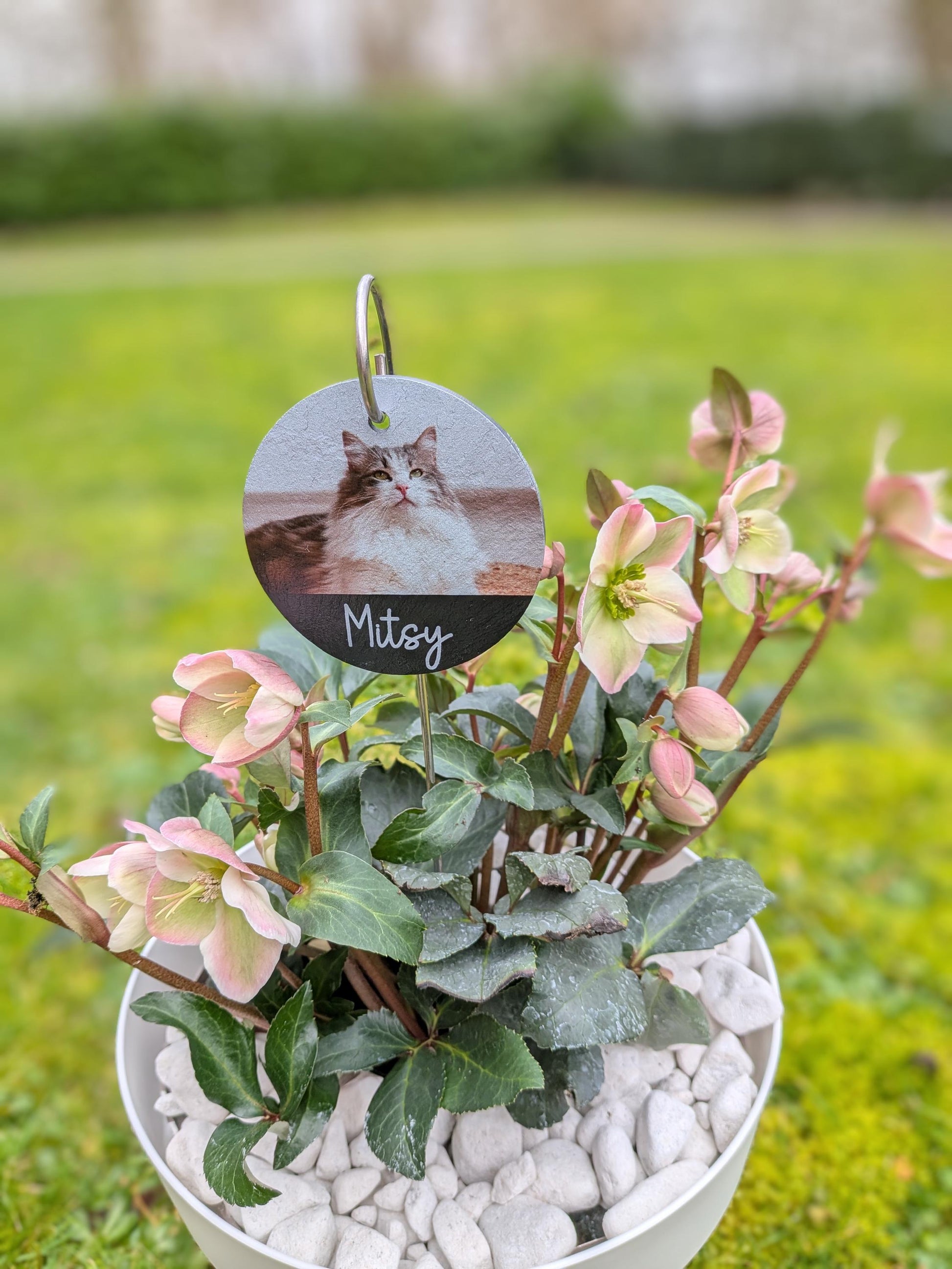 Dog Memorial Slate Plaque | Garden Remembrance | Pet Loss