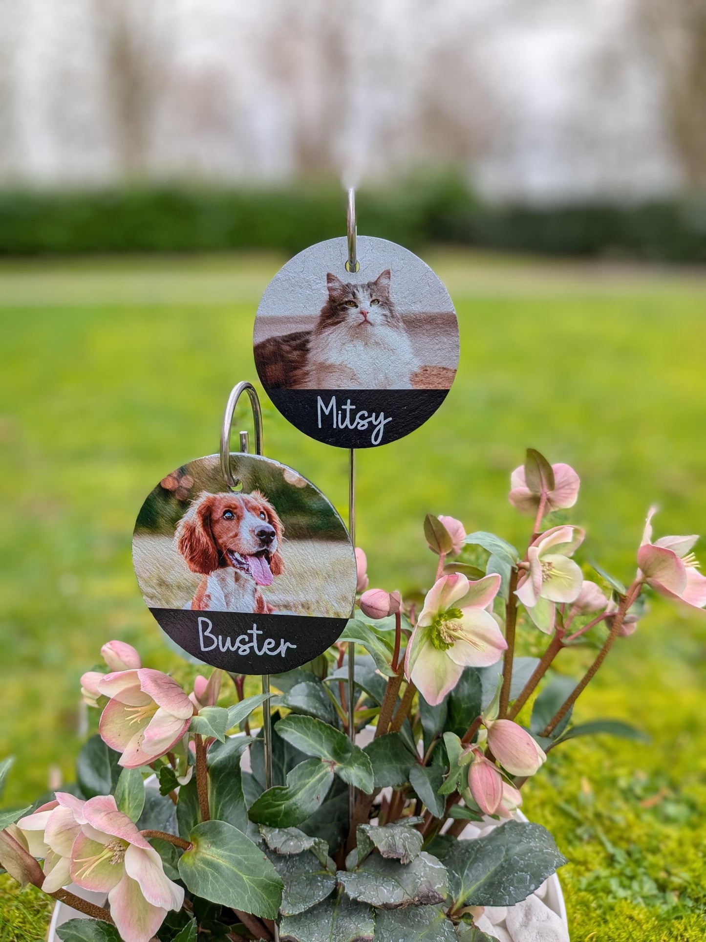Dog Memorial Slate Plaque | Garden Remembrance | Pet Loss