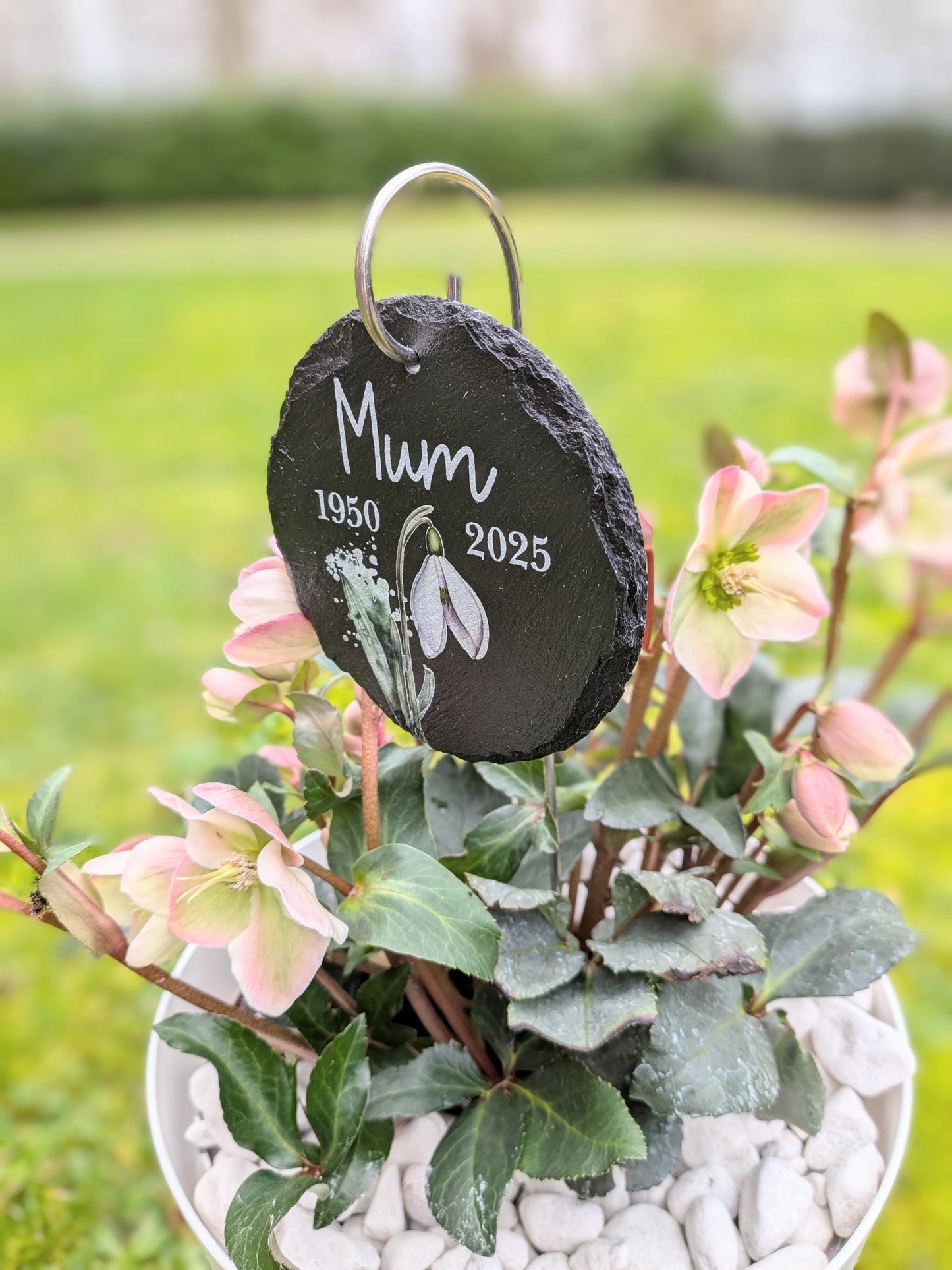 Brave Little Lion Memorial Slate Plaque | Garden Remembrance | Baby Loss