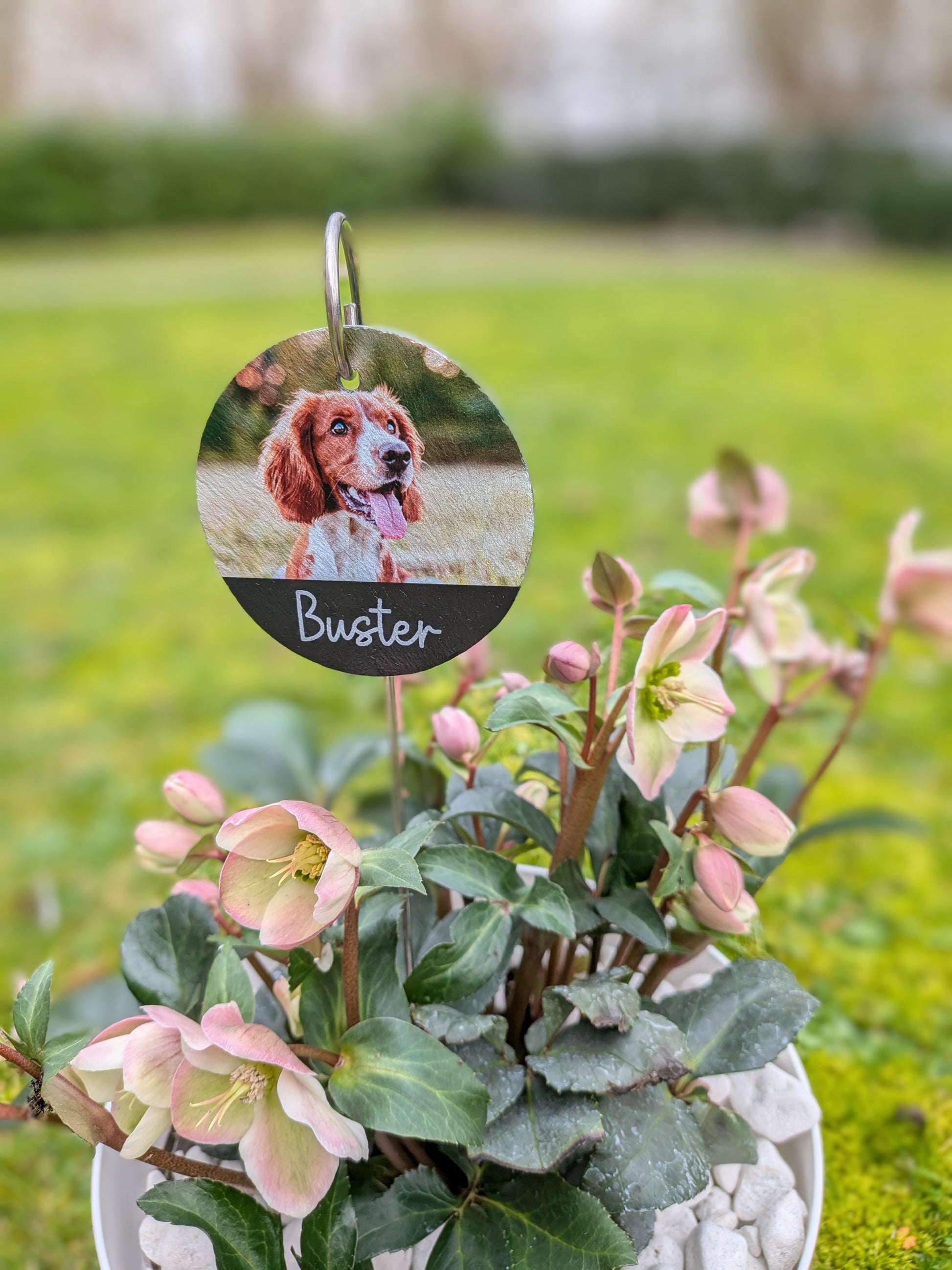 Dog Memorial Slate Plaque | Garden Remembrance | Pet Loss