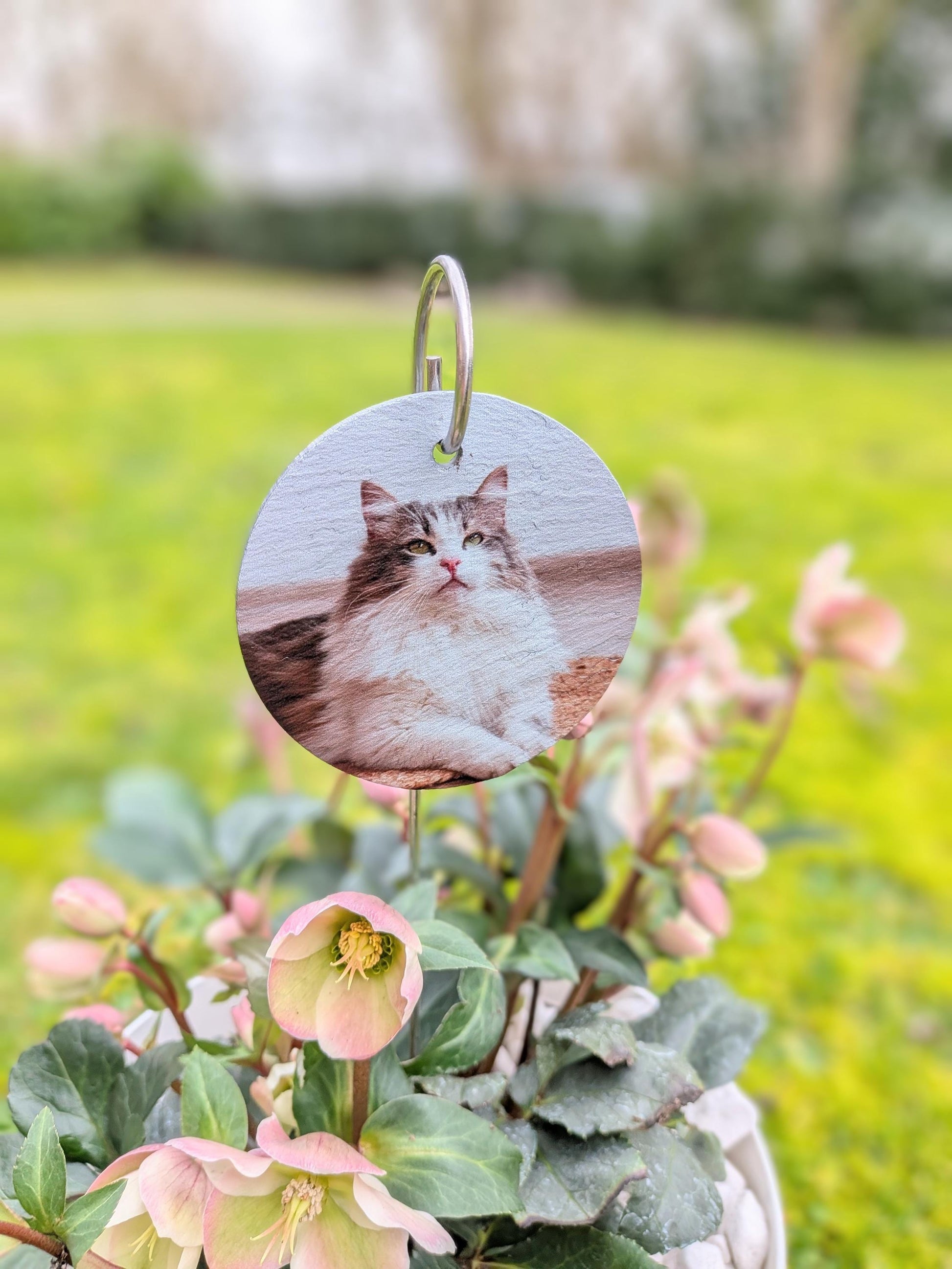 Cat Memorial Slate Plaque | Garden Remembrance | Pet Loss