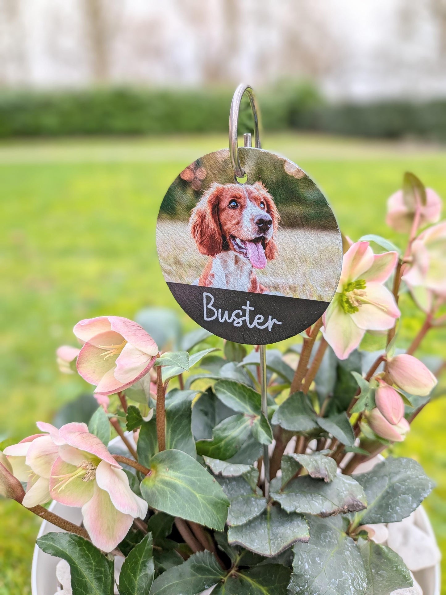 Dog Memorial Slate Plaque | Garden Remembrance | Pet Loss