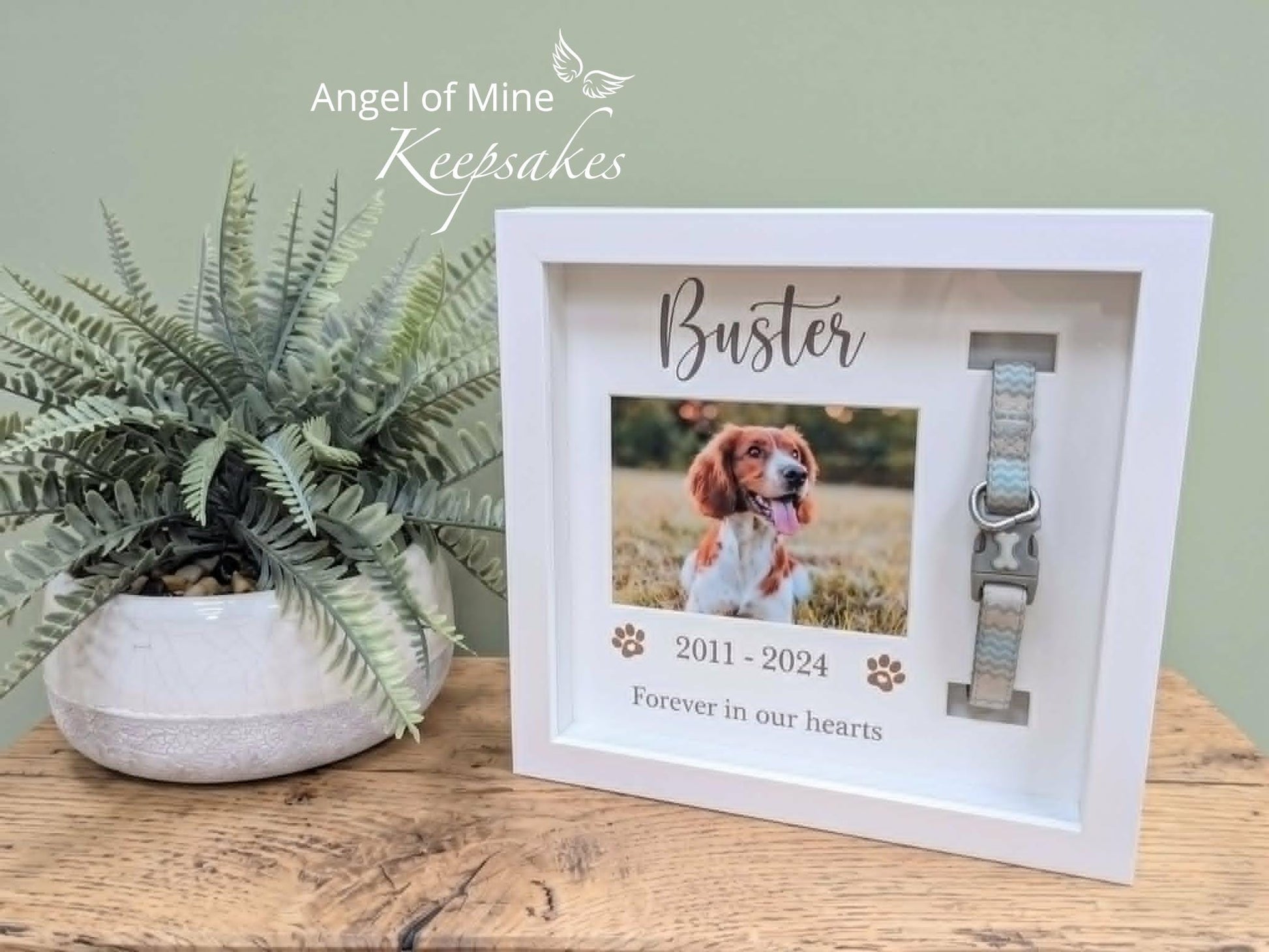 Dog Collar Memorial Frame | Pet Loss | Pet Memorial Gift
