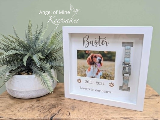 Dog Collar Memorial Frame | Pet Loss | Pet Memorial Gift