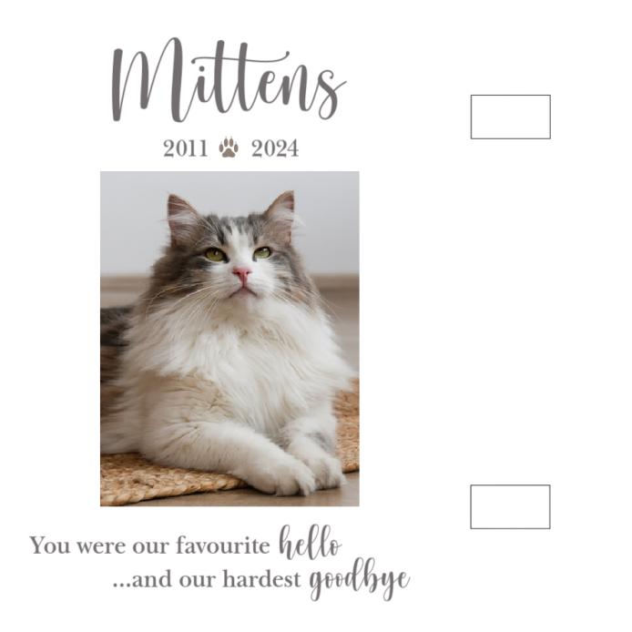 Cat Collar Memorial Frame | Pet Loss | Pet Memorial Gift