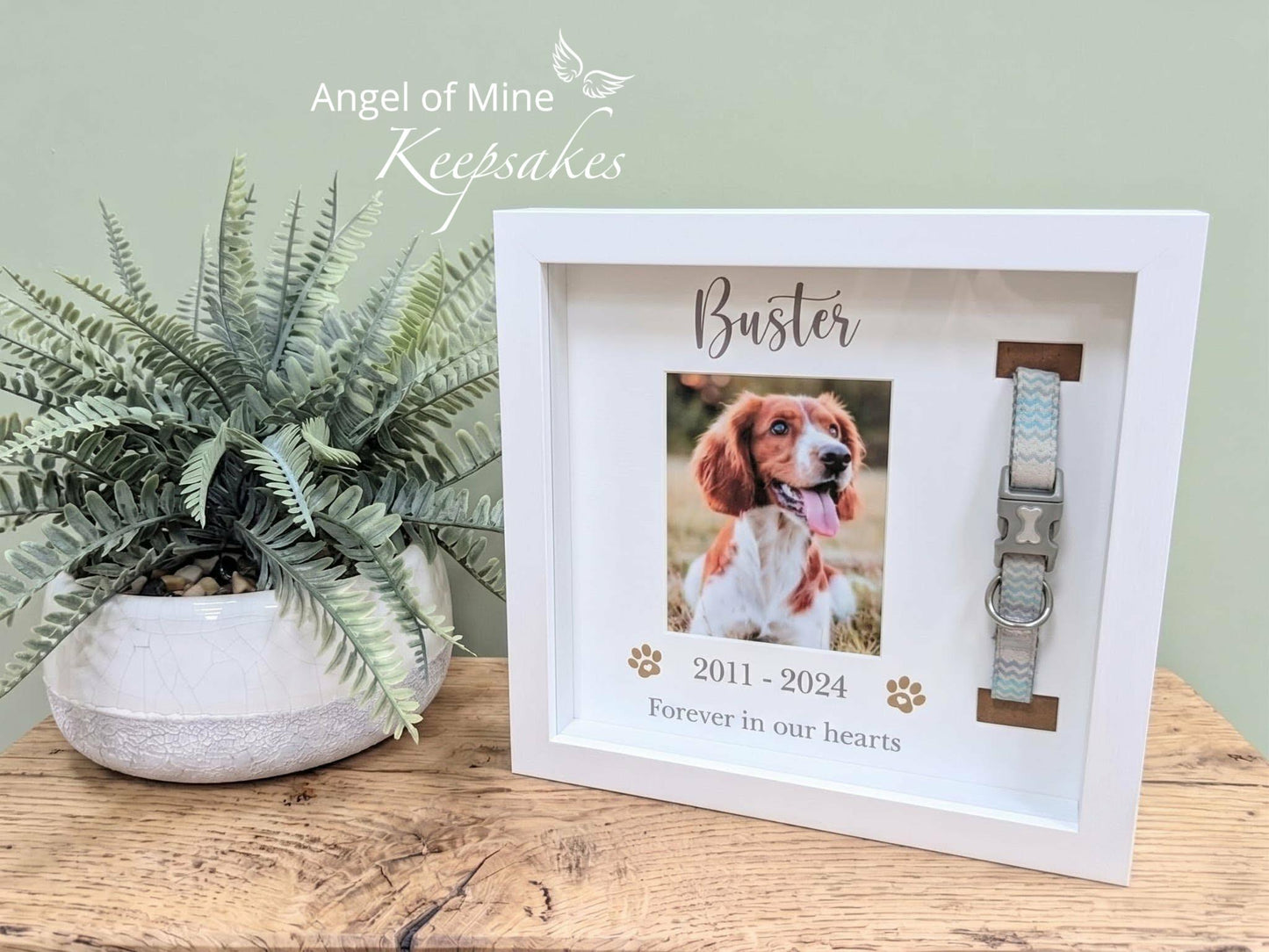 Dog Collar Memorial Frame | Pet Loss | Pet Memorial Gift