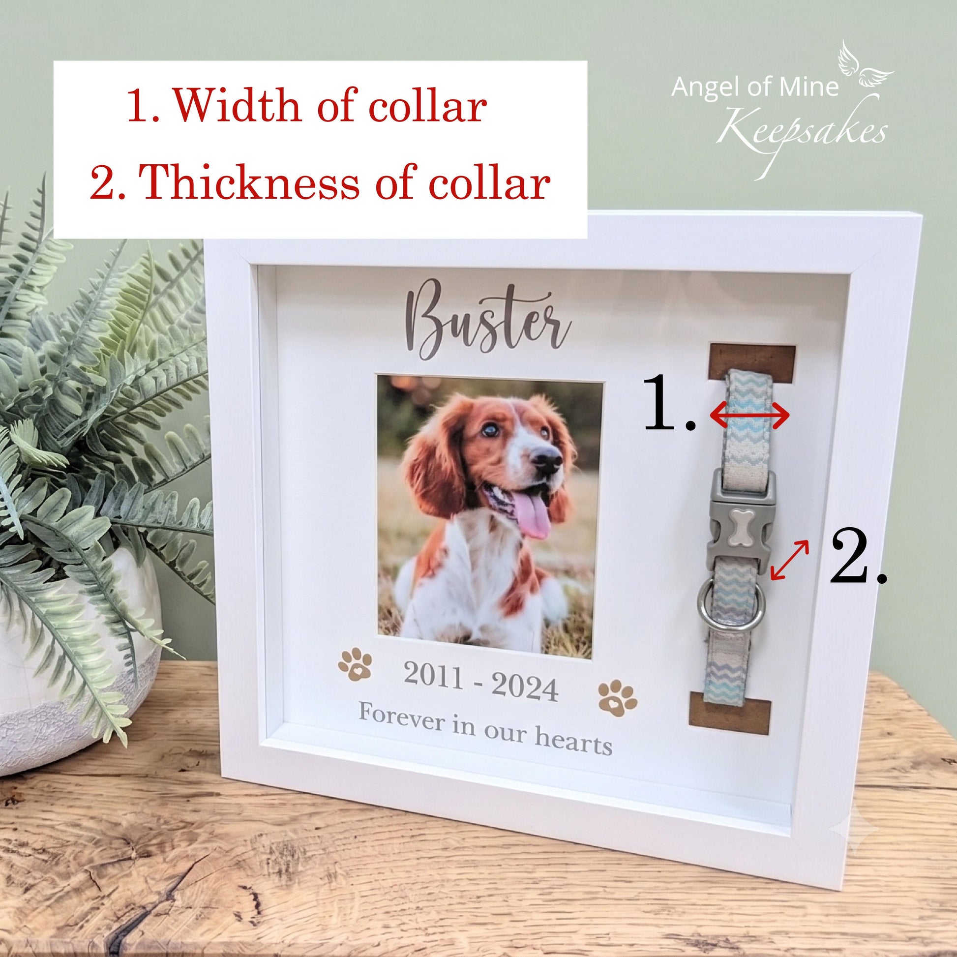 Dog Collar Memorial Frame | Pet Loss | Pet Memorial Gift