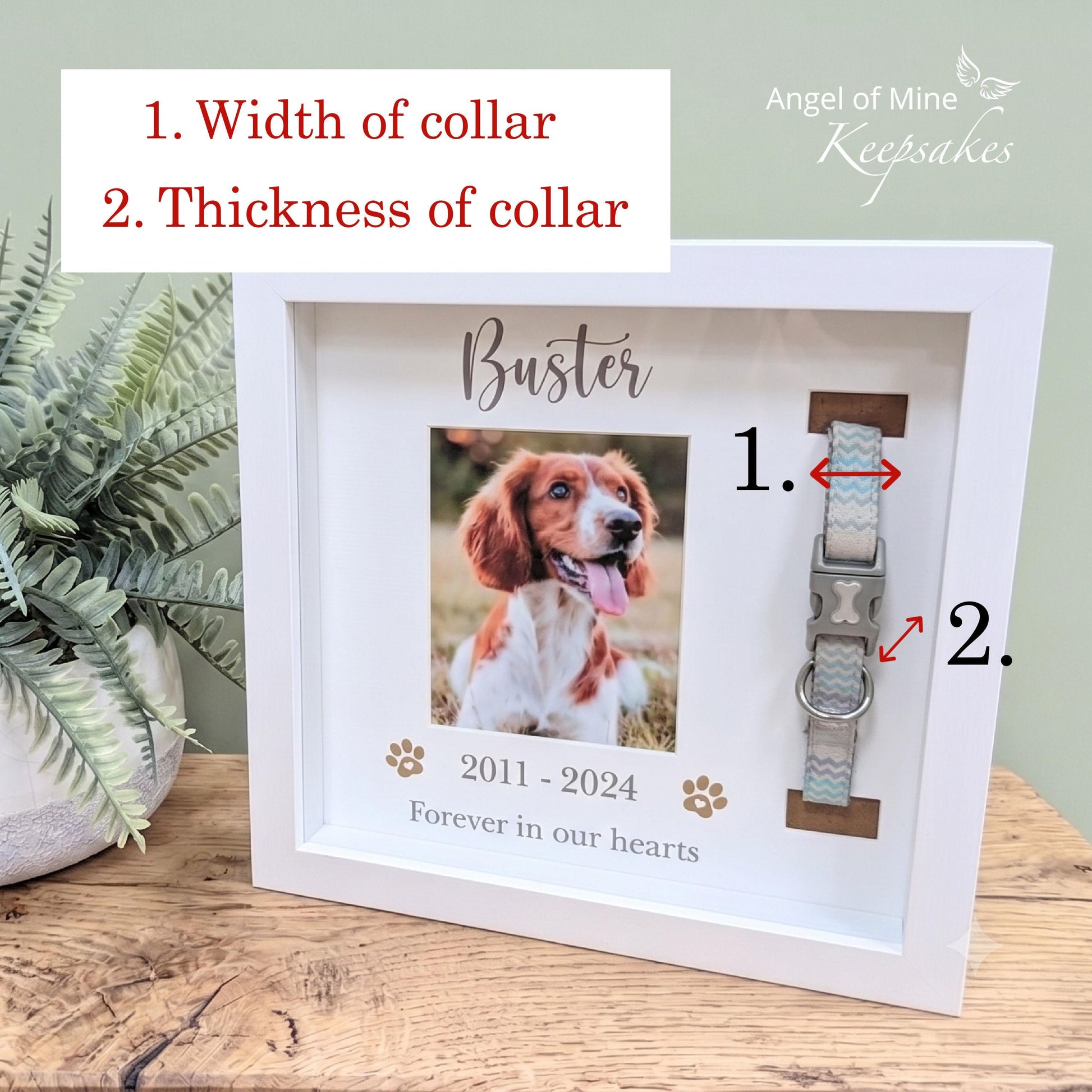 Cat Collar Memorial Frame | Pet Loss | Pet Memorial Gift