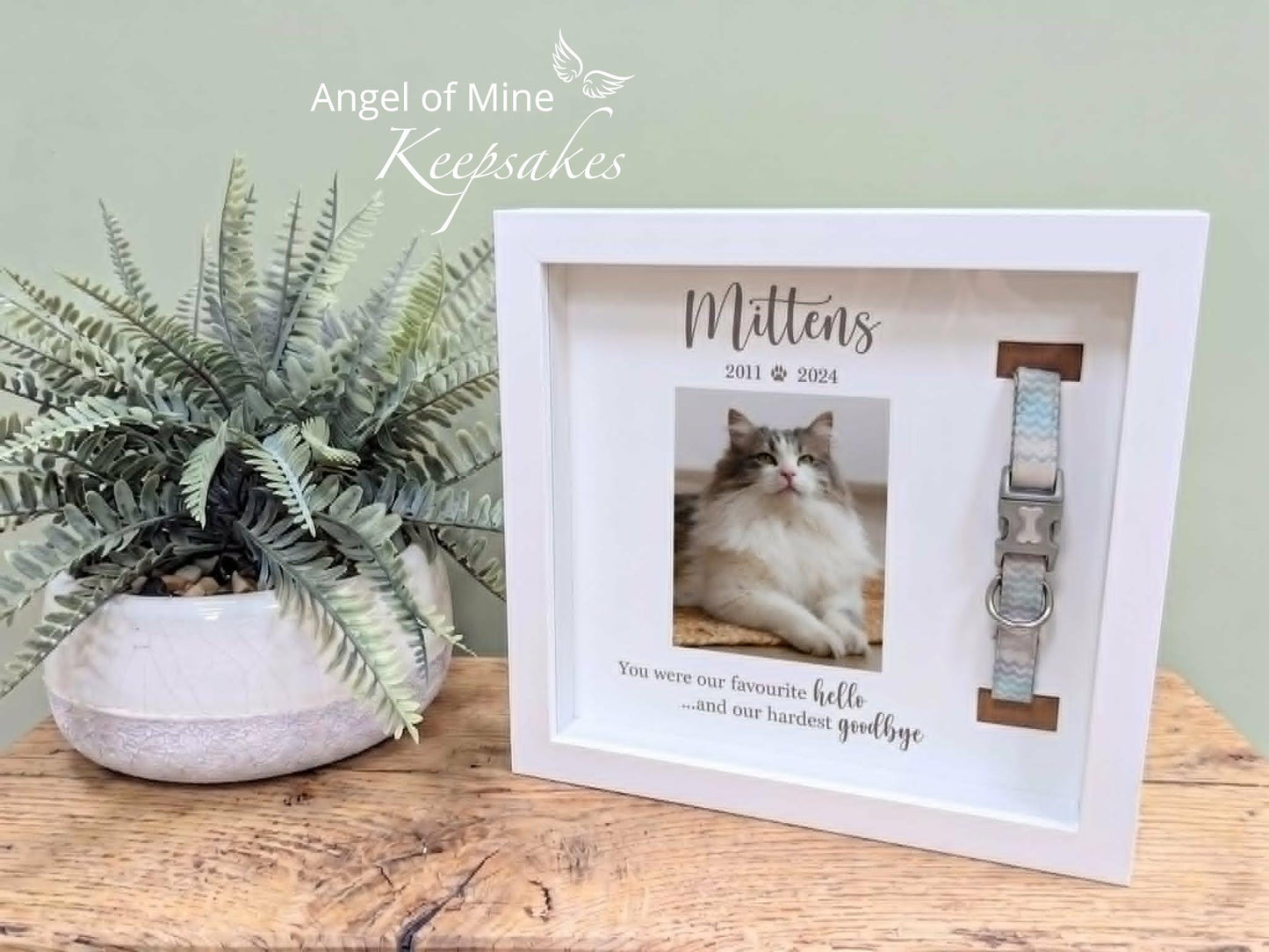 Cat Collar Memorial Frame | Pet Loss | Pet Memorial Gift