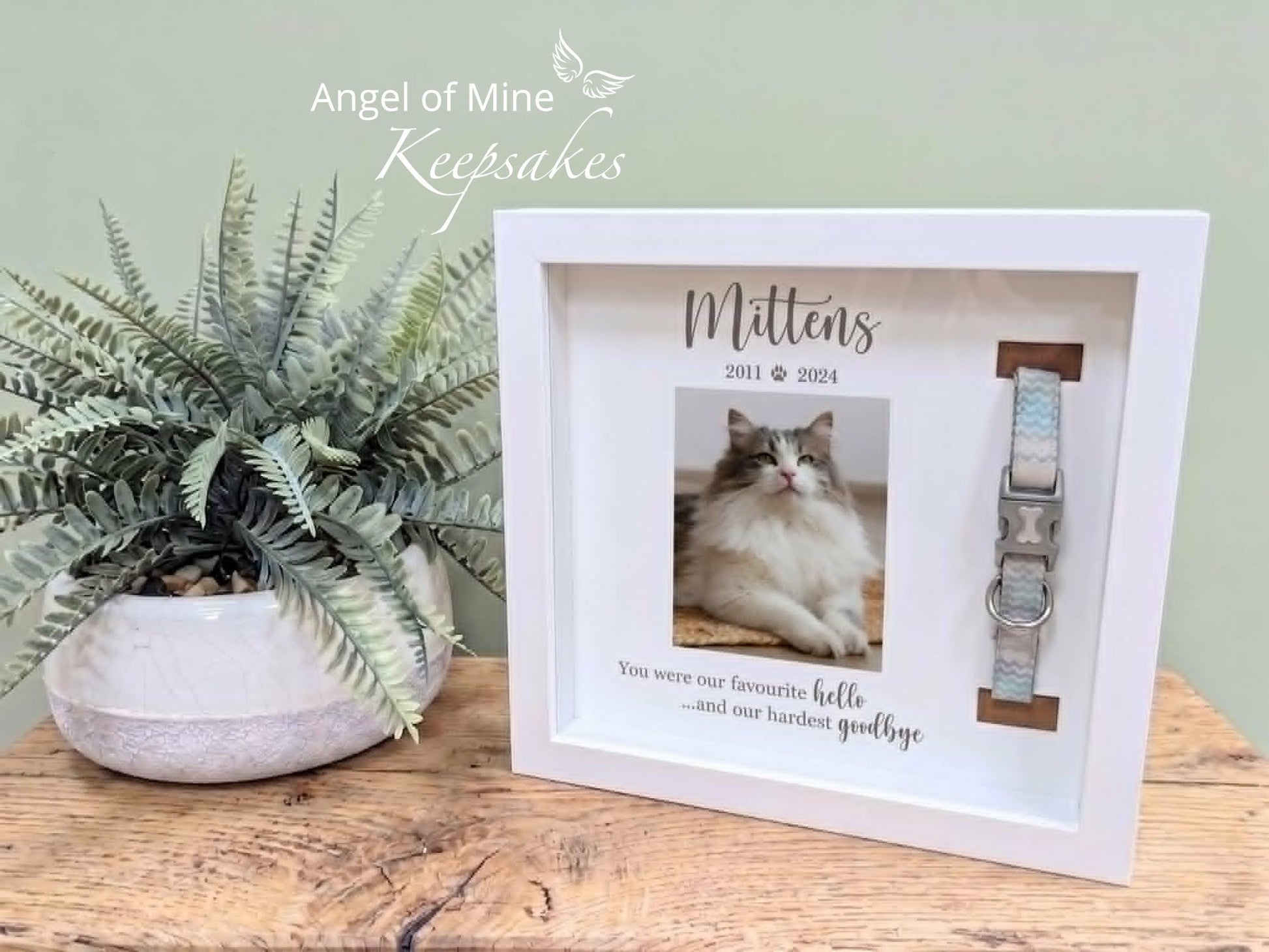 Cat Collar Memorial Frame | Pet Loss | Pet Memorial Gift