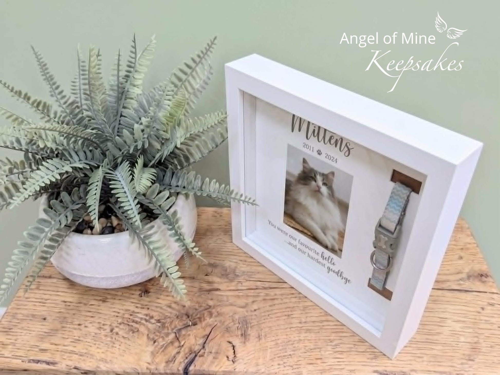 Cat Collar Memorial Frame | Pet Loss | Pet Memorial Gift