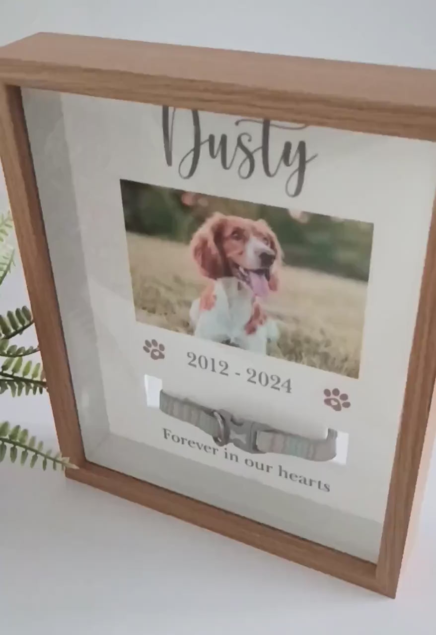 Pet Collar Frame | Pet Memorial Box Frame | Pet Loss | Pet Memorial Gift
