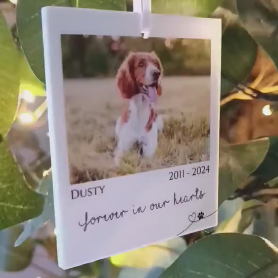 Polaroid Gift | Photo Car Ornament Gift | Christmas Tree Photo | Personalised Pet Polaroid