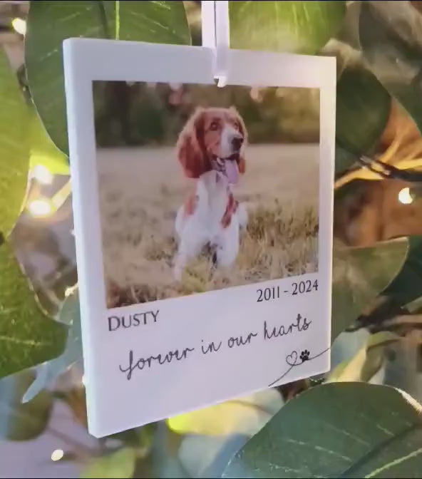 Polaroid Gift | Photo Car Ornament Gift | Christmas Tree Photo | Personalised Pet Polaroid